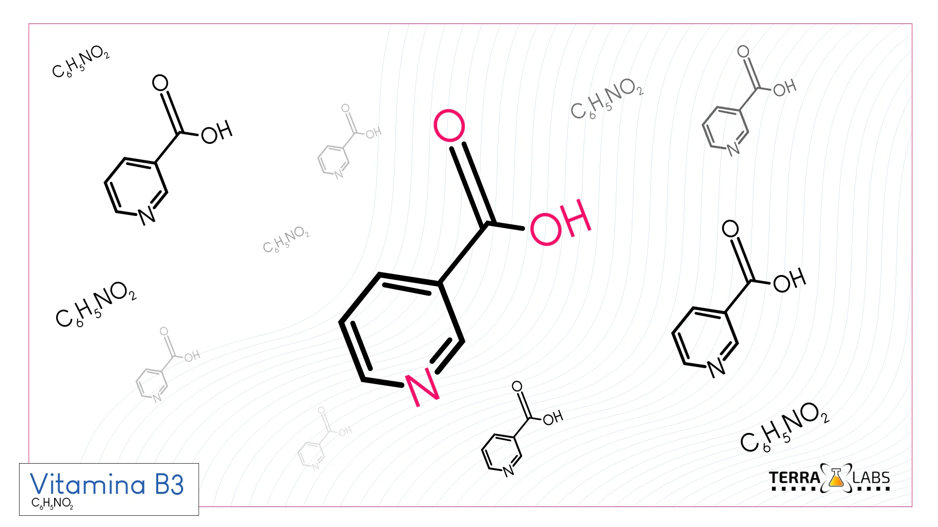 vitamina B3