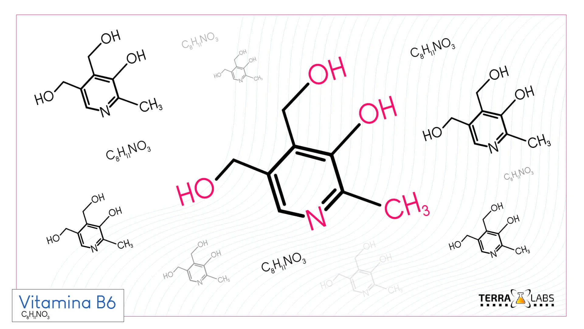 vitamina B6