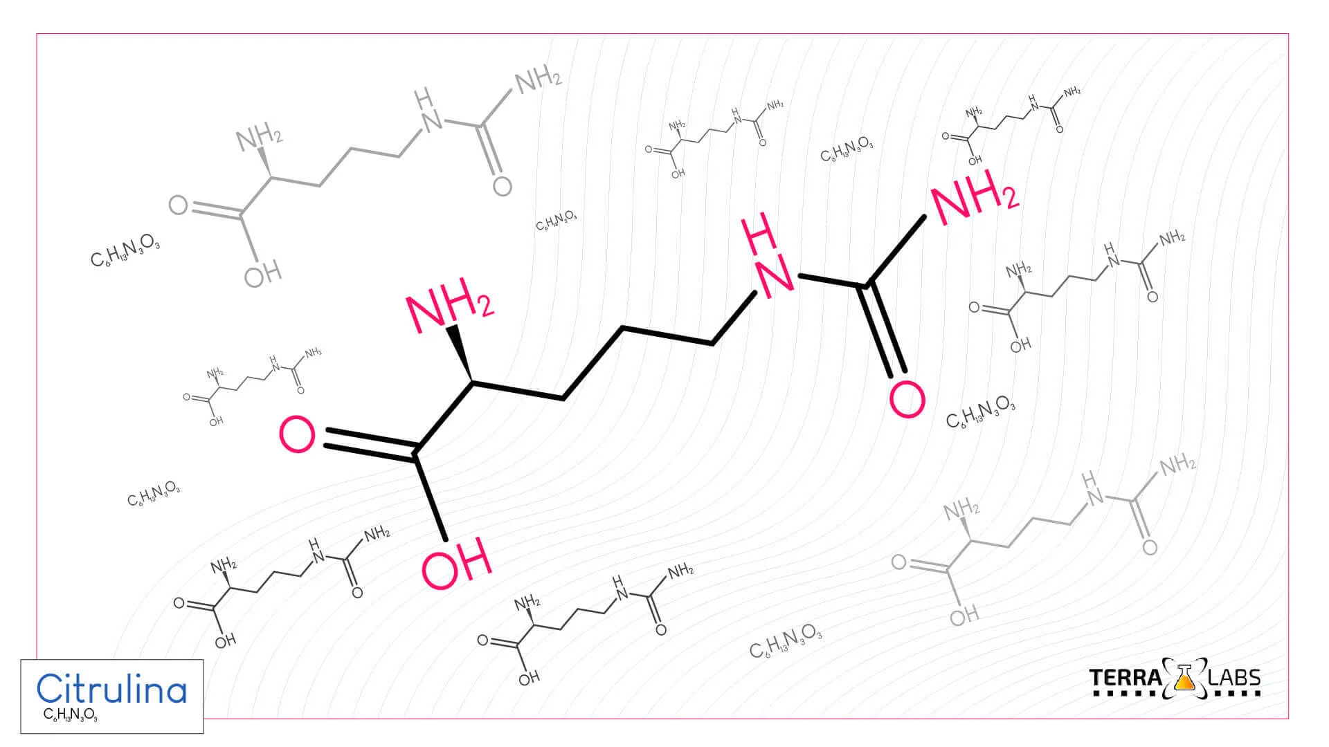 "citrulina